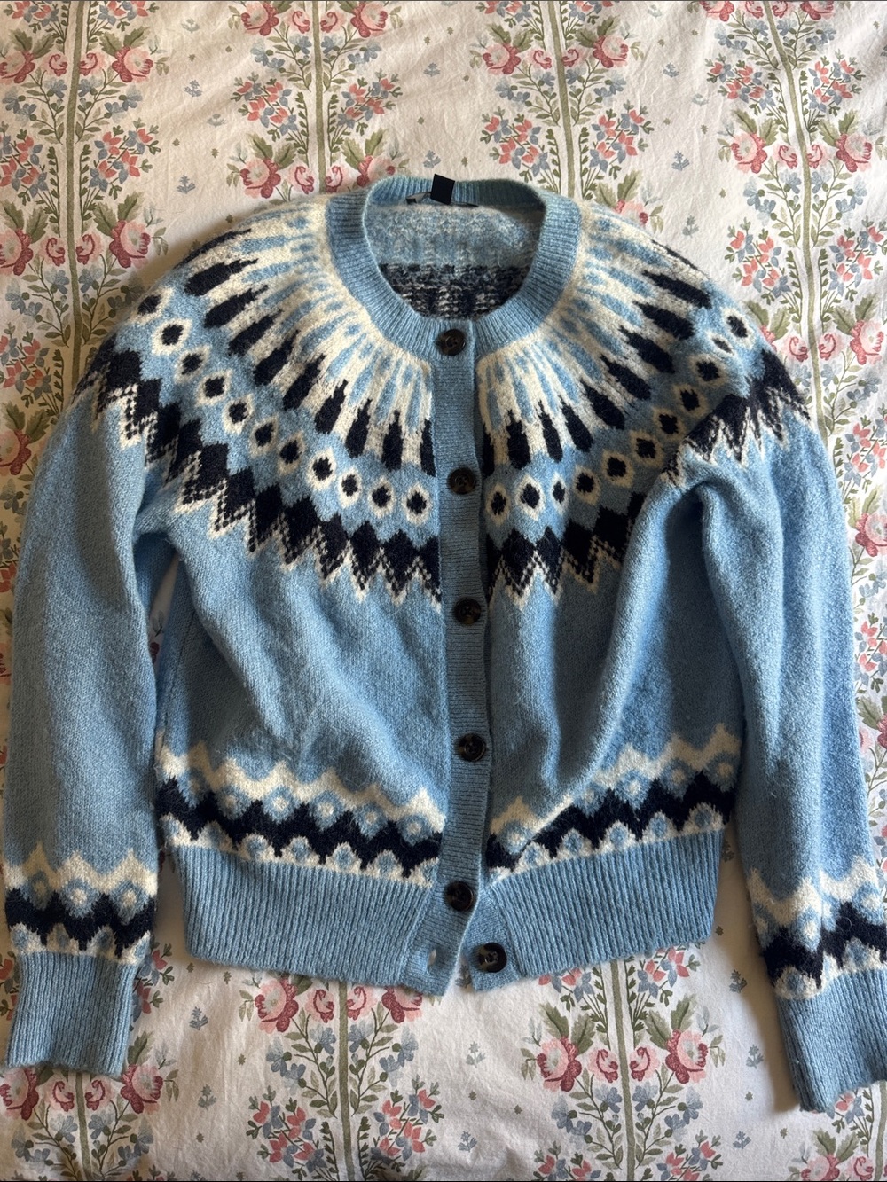 Ann Taylor Blue Fair Isle Button-Up Women's Sweater